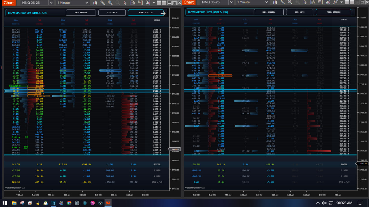 Option Chain Flow Matrix ejecutándose en NinjaTrader 8